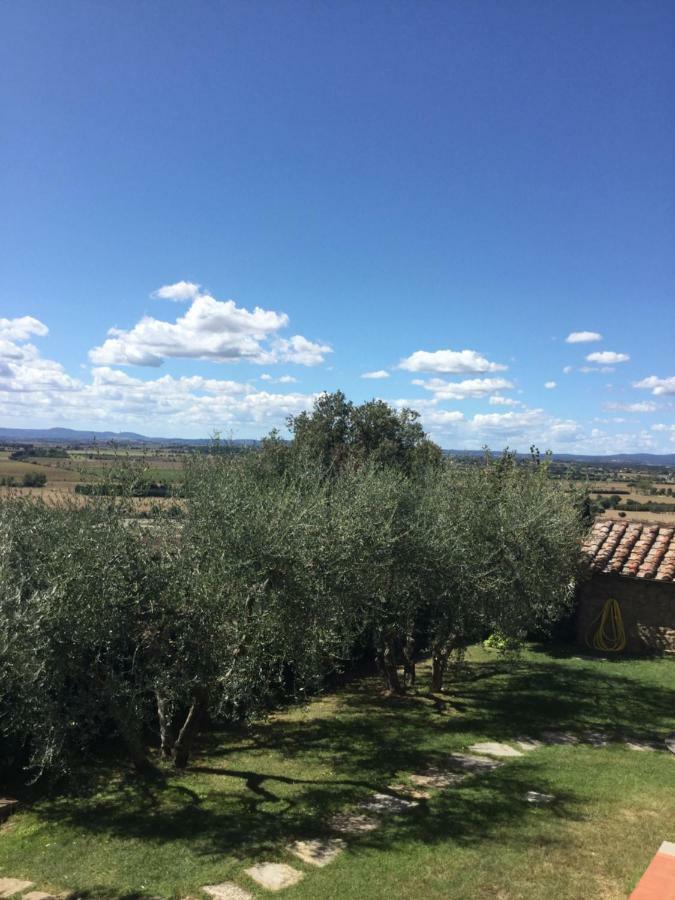 Agriturismo Borgo Tra Gli Olivi Castiglion Fiorentino Exterior photo
